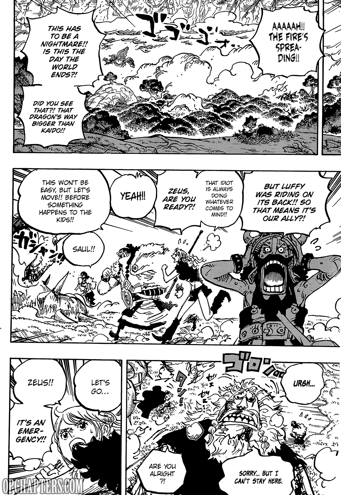 One Piece, Chapter 1176 image 03